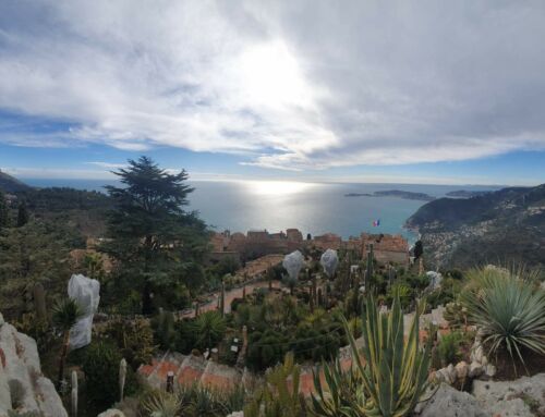 Eze et son jardin exotique