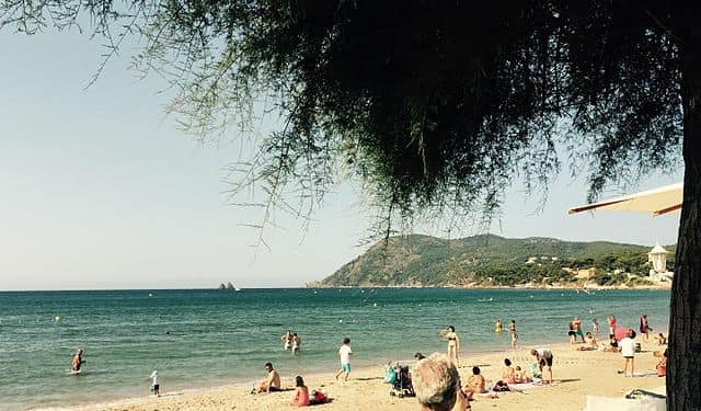 plage des sablettes pollution e.coli baignade interdite la seyne