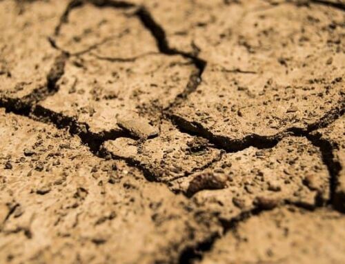 Var : amélioration de la sécheresse, mais 116 communes restent en alerte