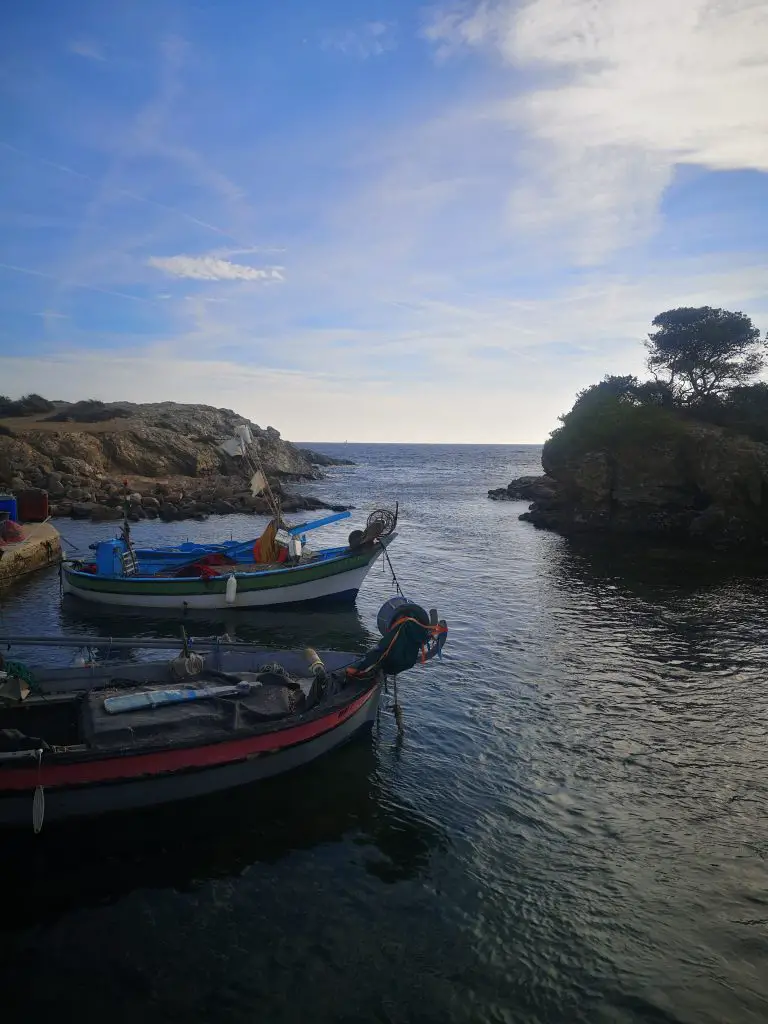 Frédéric Boccaletti Ile du Gaou presqu'île Gaou