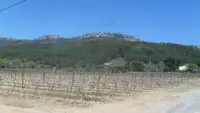 sécheresse Fréjus vignobles du var viticulteurs soutien sécheresse var communes alerte sécheresse var prolongation sécheresse var canicule 50 degrés plantes seches sécheresse var crise sécheresse Huveaune