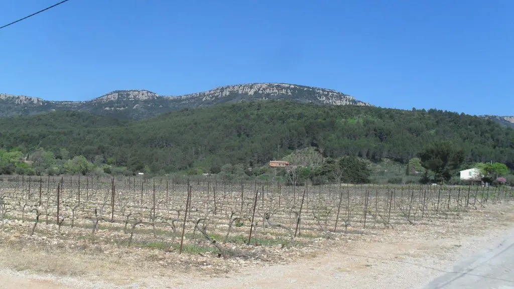 viticulteurs soutien sécheresse var communes alerte sécheresse var prolongation sécheresse var canicule 50 degrés plantes seches sécheresse var crise sécheresse Huveaune