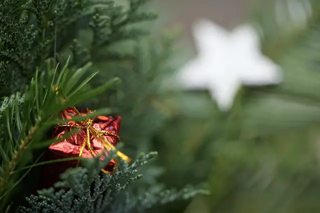 jeter sapin var sapin vol la ciotat jeux noël