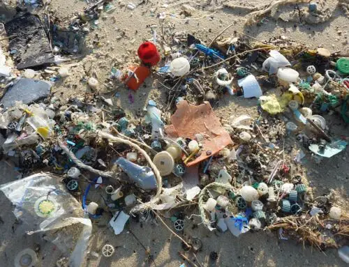 Semaine européenne de la réduction des déchets : adopter des gestes simples pour un impact durable