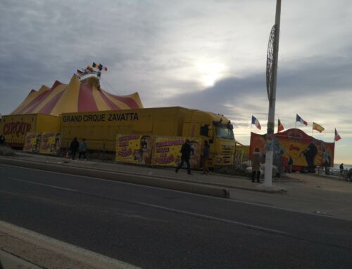 Le cirque enchanté débarque à Six-Fours pour les vacances
