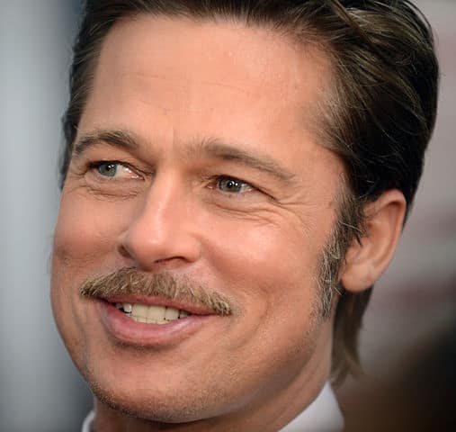 Brad Pitt Correns vente aux enchères vin