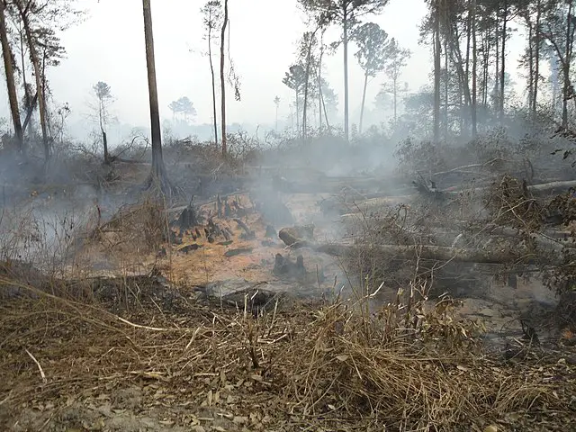 incendie de roquebrune