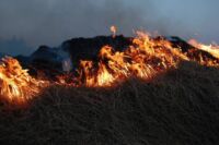 incendie Colomars condamnation incendie de caniers à la Londe financement feu de forêt