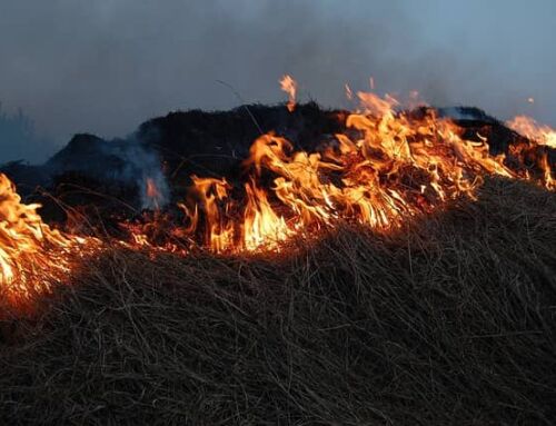 Condamnation suite à l’incendie de Colomars : 12 mois de prison pour l’auteur