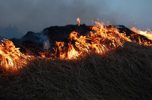 incendie Colomars condamnation incendie de caniers à la Londe financement feu de forêt