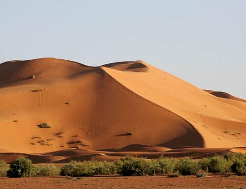 Deux varoises au Trophée roses des sables au Maroc