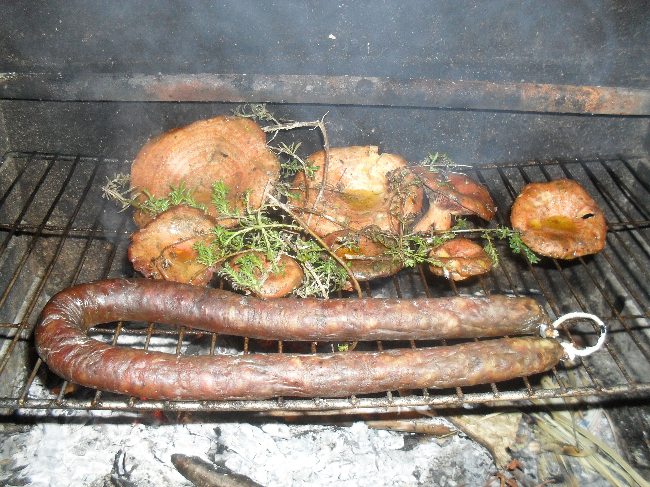 comment nettoyer son barbecue ?Plancha barbecue balcon loi Var