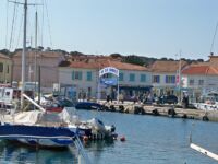 chien spiaggia
