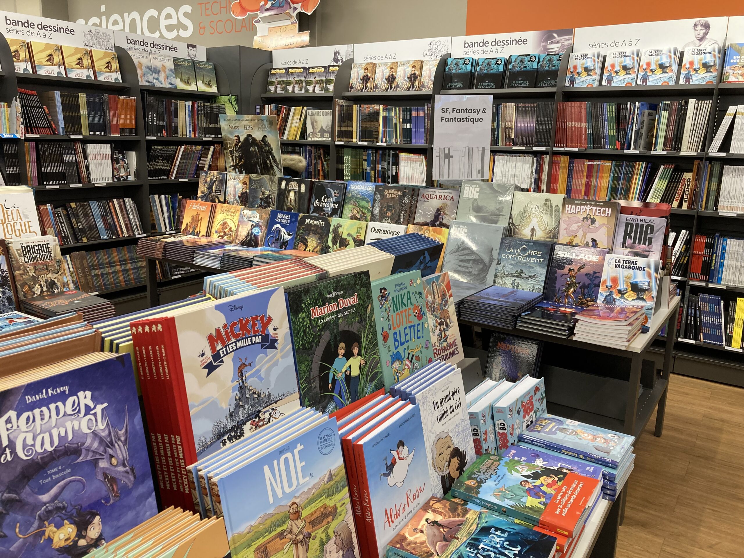 soldes d'été livres 1€ nice lecture à ses enfants