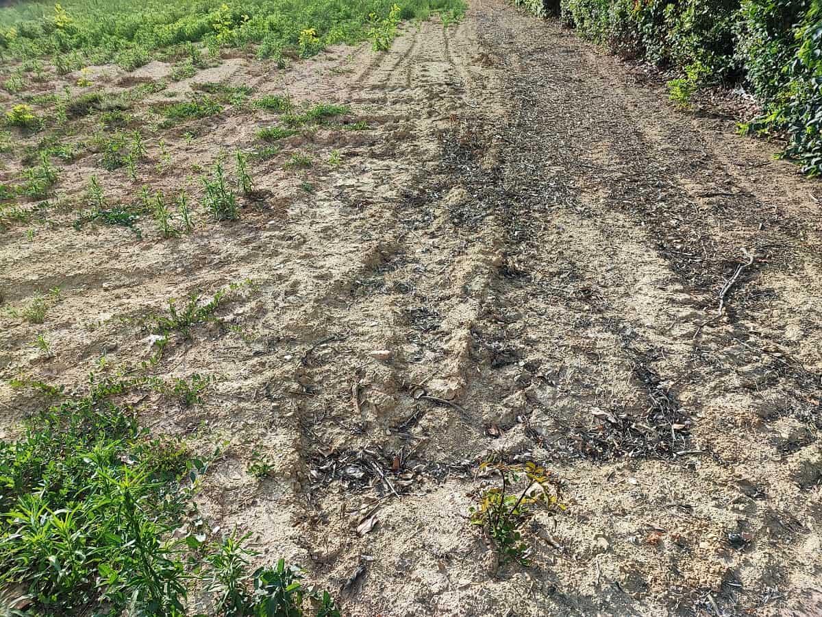 agriculteurs gelées var sécheresse février fin restrictions d'eau var var sécheresse hiver humide 2050 PACA séisme Onze communes en alerte sécheresse