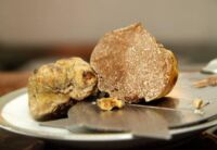 truffes blanches var