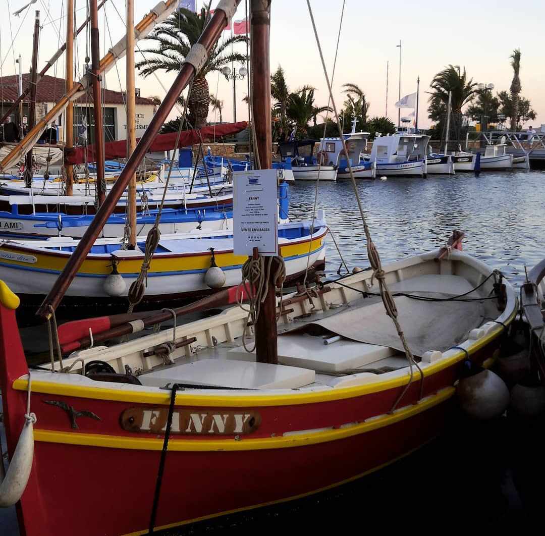 été à Sanary Sanary s'amuse