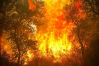 alerte incendie var alerte critique incendie