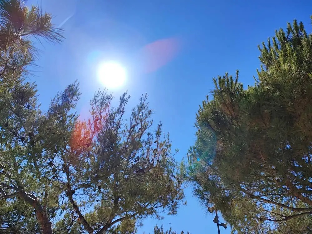 Météo var soleil chauffer dans le var lundi radieux var la pinède sanary automne 2023 chaleur var novembre températures estivales 10 octobre week-end températures météo 11 septembre beau temps jeudi var var températures Chaleur estivale dimanche canicule var 42°C