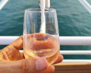 Production vin mondiale en baisse 2024 viticulteurs lidl centre de rosé Vidauban vins de Brad Pitt et George Clooney fête des vins de bandol vignerons de Brignoles tradition vin var ventes vin vin var domaines viticoles beaujolais marseille Taxes américaines vin français​
