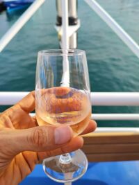 Production vin mondiale en baisse 2024 viticulteurs lidl centre de rosé Vidauban vins de Brad Pitt et George Clooney fête des vins de bandol vignerons de Brignoles tradition vin var ventes vin vin var domaines viticoles beaujolais marseille Taxes américaines vin français​