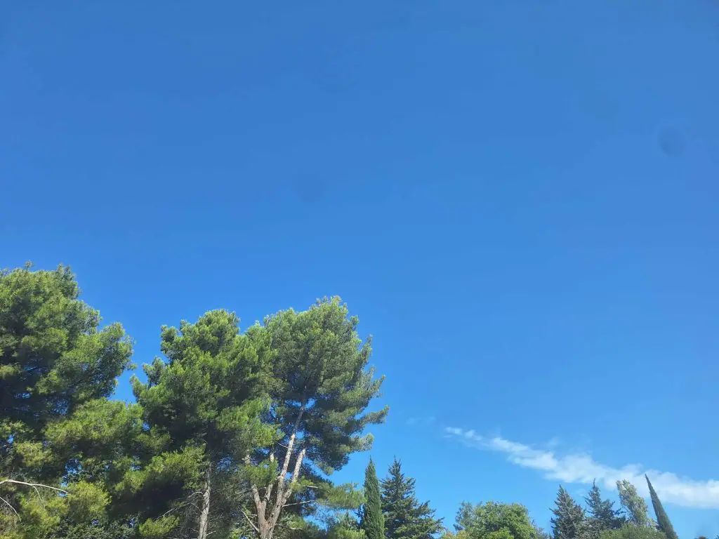Météo du 12 août