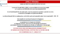 Appel témoin renault clio