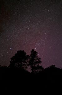 étoiles filantes décembre Léonides nuit des étoiles Les Perséides comète géante àtoulon