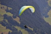 parapentiste Signes