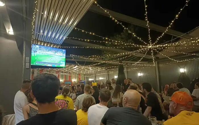 bleus supporter déçus Coupe du monde de rugby