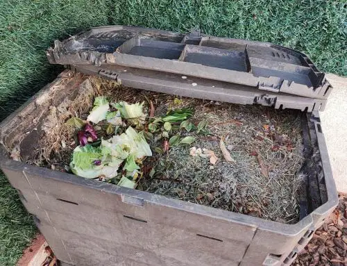Le compostage obligatoire depuis janvier et l’astuce de la planche : une révolution pour vous