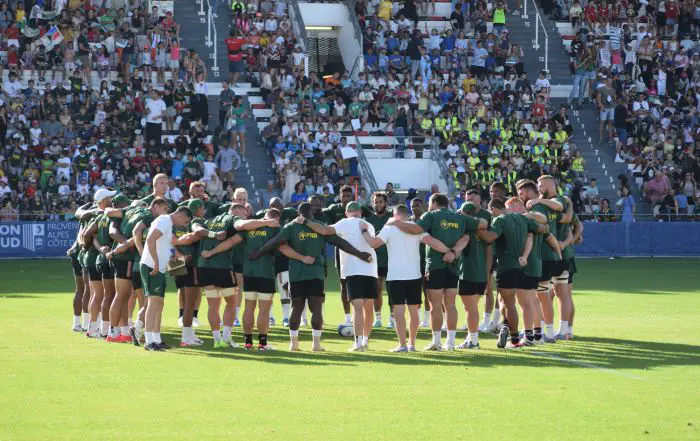 spingboks toulon