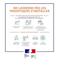 moustiques septembre var