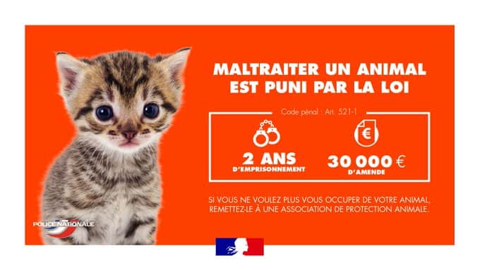 maltraitance animale sanctions