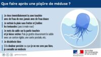 méduses est var