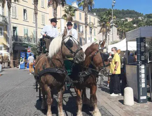 La 32e Fête de l’Olivier à Ollioules : Un week-end de célébrations culturelles et gastronomiques