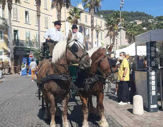 fête de l'olivier
