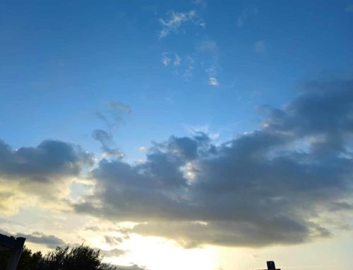 Prévisions météo pour le 26 novembre dans le Var, un grand soleil