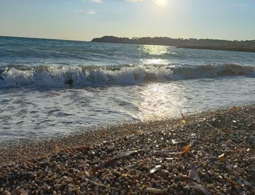 Le littoral méditerranéen face à l’érosion : entre avancées et reculs
