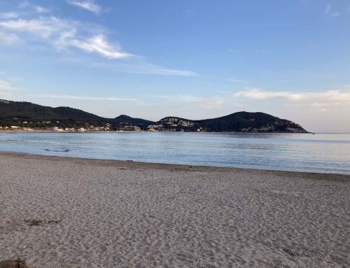 La chasse aux mégots dans le Var : une initiative écologique pour préserver les plages