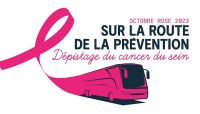 bus rose région sud