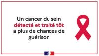 octobre rose cancer