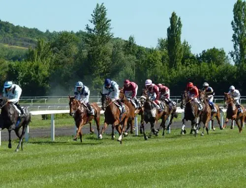 Un poulain marseillais fait sensation en remportant le Qatar Prix de l’Arc de Triomphe