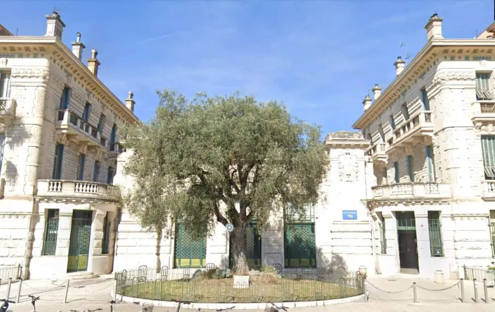 professeur lycée Massena nice