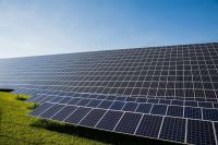 Forêts sacrifiées avenir énergétique Toulon