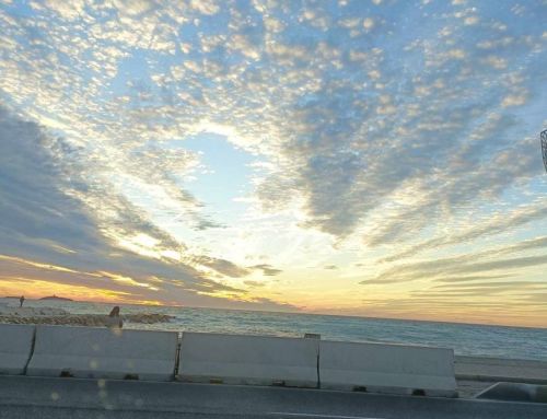 La splendeur de vivre près de la mer : Le privilège des Six-Fournais à Bonnegrâce