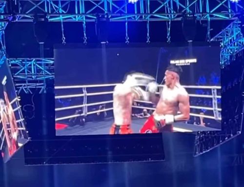 Retour sur la 30e Nuit des Champions de kick-boxing à Marseille