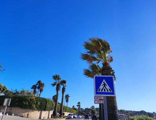 Un vent violent de nord et une descente d’air froid dans le var dès ce vendredi