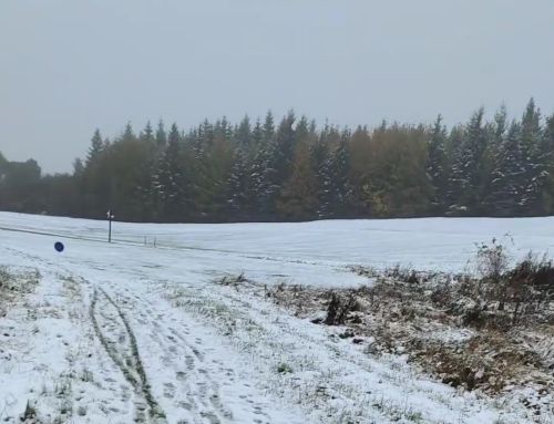 La neige surprend à nouveau le Var : fortes chutes dans le haut département