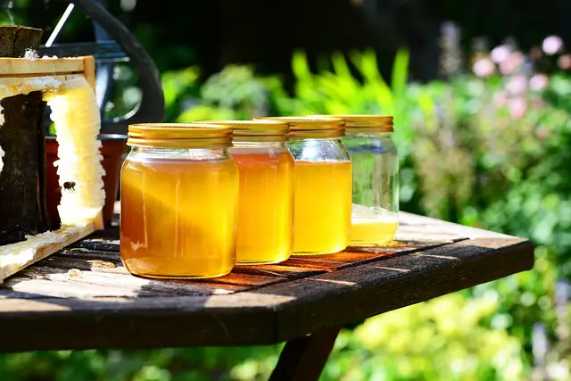 miel sécheresse apiculteur